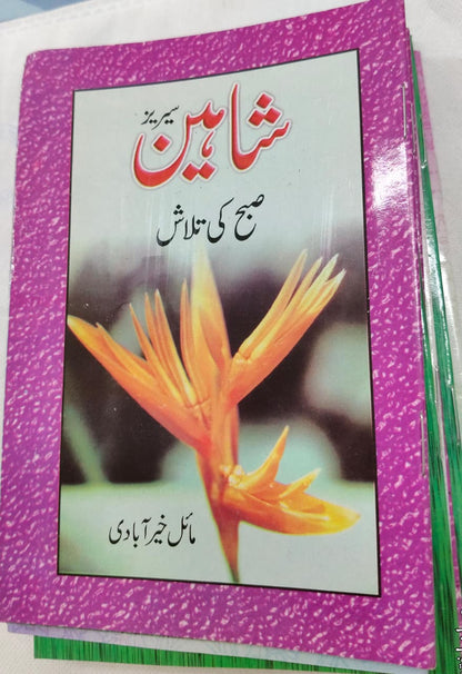 Shahin Series Complete 24 Book Set – by Mayal Khairabadi