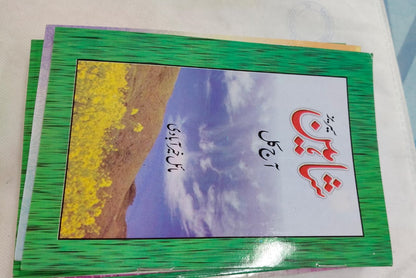 Shahin Series Complete 24 Book Set – by Mayal Khairabadi