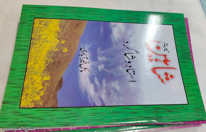 Shahin Series Complete 24 Book Set – by Mayal Khairabadi