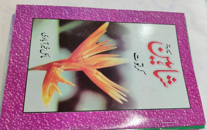 Shahin Series Complete 24 Book Set – by Mayal Khairabadi