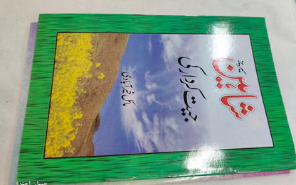 Shahin Series Complete 24 Book Set – by Mayal Khairabadi