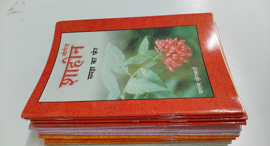 Shahin Series Complete 24 Book Set – by Mayal Khairabadi