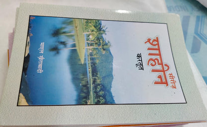 Shahin Series Complete 24 Book Set – by Mayal Khairabadi