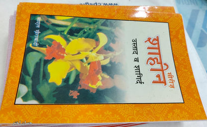Shahin Series Complete 24 Book Set – by Mayal Khairabadi