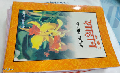 Shahin Series Complete 24 Book Set – by Mayal Khairabadi
