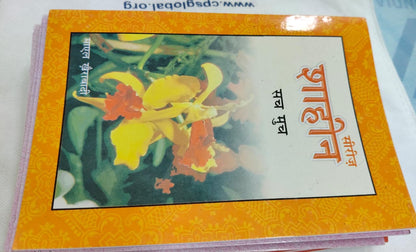 Shahin Series Complete 24 Book Set – by Mayal Khairabadi