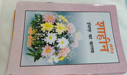 Shahin Series Complete 24 Book Set – by Mayal Khairabadi