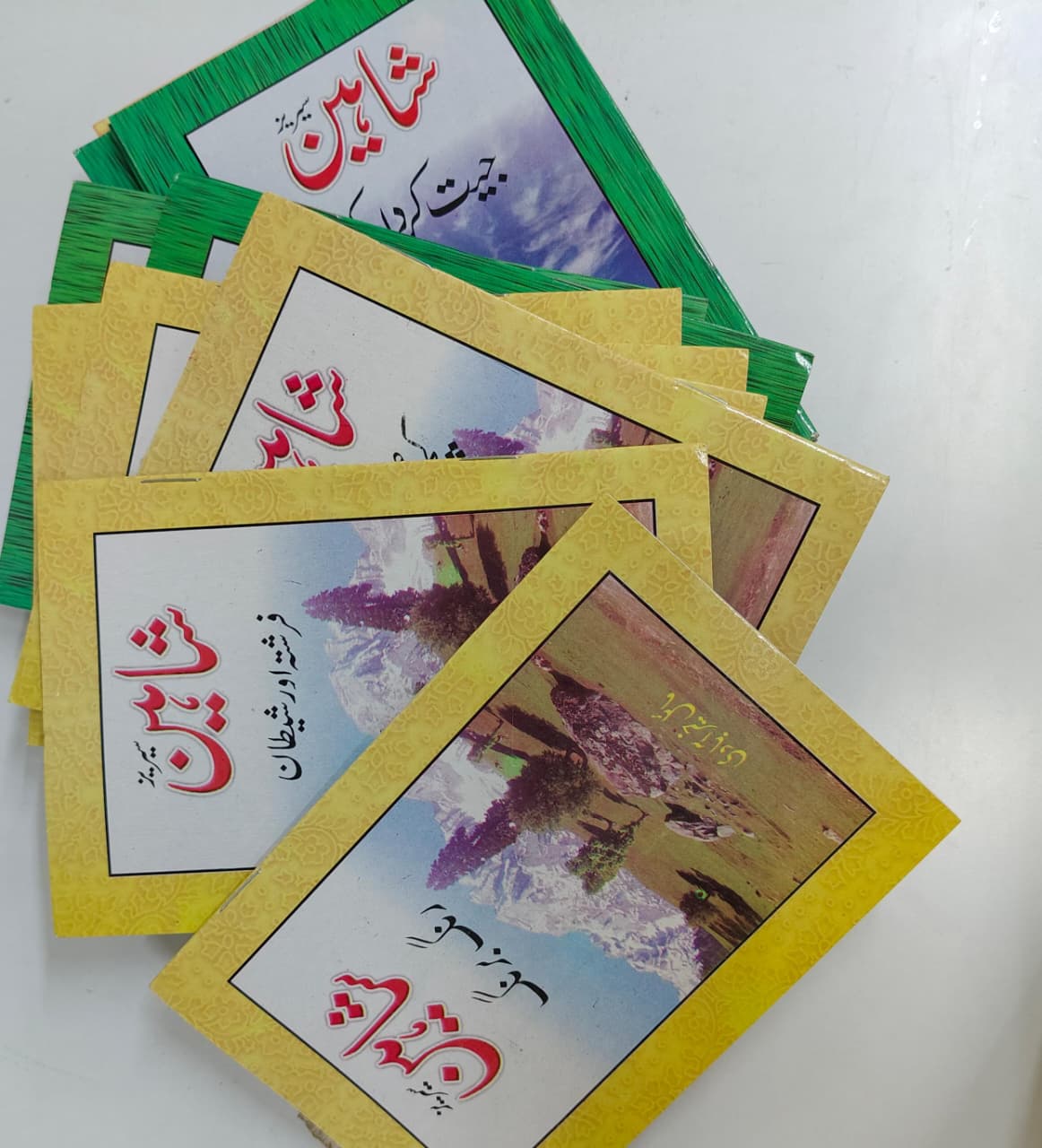 Shahin Series Complete 24 Book Set – by Mayal Khairabadi