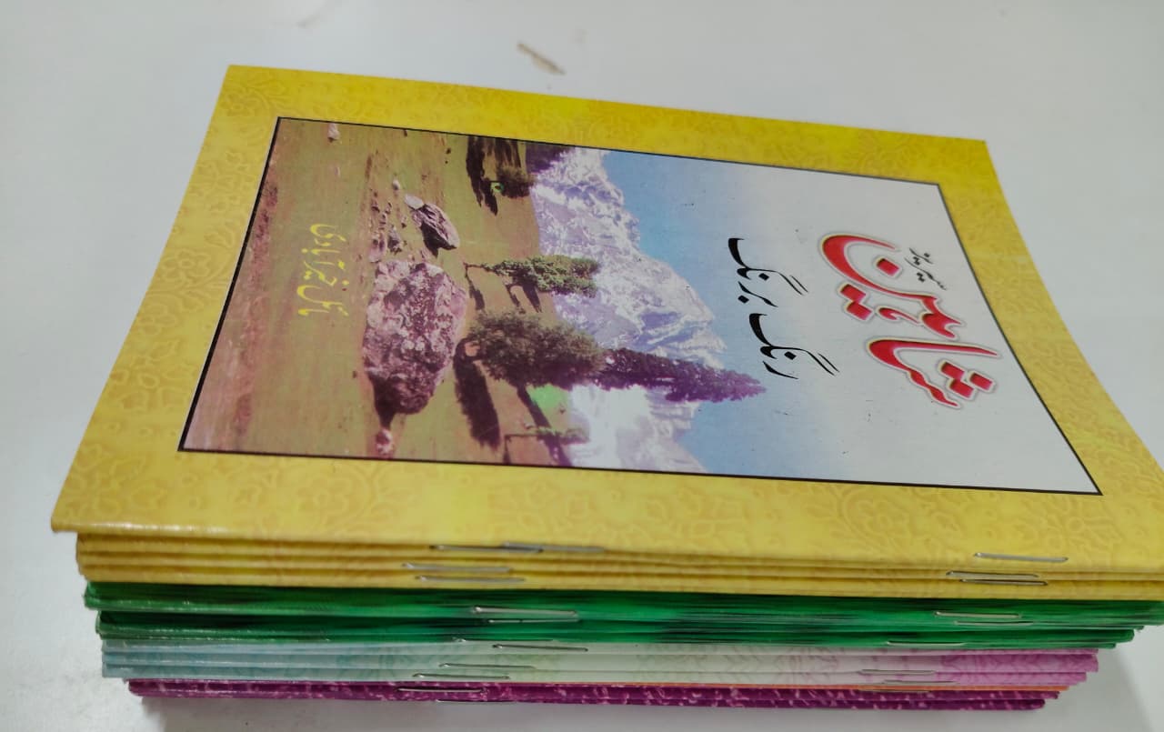 Shahin Series Complete 24 Book Set – by Mayal Khairabadi