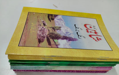 Shahin Series Complete 24 Book Set – by Mayal Khairabadi