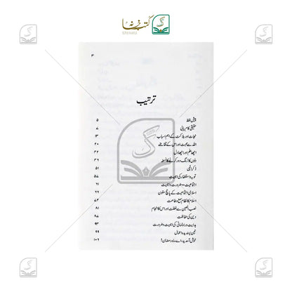 Noor-e-Nubuwat Ki Kirnein (Duroose Hadees)
